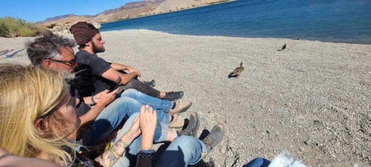 Las Vegas: Colorado River Adrenaline RZR Tour - Activity Details