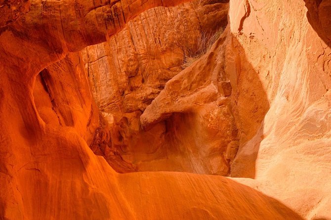 Las Vegas: Day Trip to Valley of Fire State Park - Product Code, Lowest Price Guarantee, Select Time, Check Availability