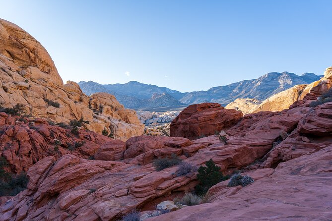 Las Vegas: Death Valley, Red Rock Canyon Day Tour - Expert Tour Guide