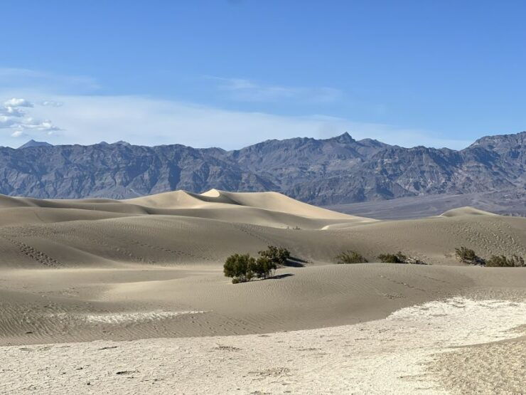 Las Vegas: Death Valley Small Group Tour - Booking Details