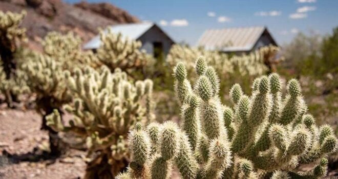 Las Vegas: Eldorado Canyon Gold Mine Tour - Reservation Details