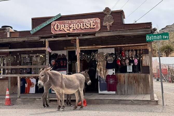 Las Vegas Ghost Town Tour and Historic Route 66 - A Full Day of Discoveries: What to Expect