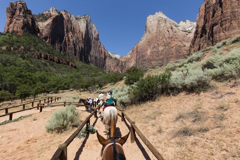 Las Vegas Grand Canyon & Bryce Canyon 3-Day Guided Tour - Day three: A walk beside the Virgin River in Zion