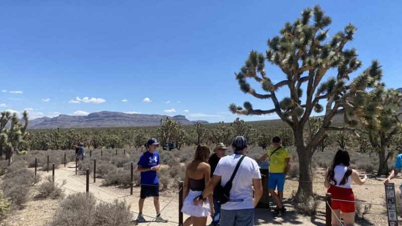 Las Vegas: Grand Canyon Helicopter & Ranch Adventure by Bus - Analyzing the Value: Is It Worth It?