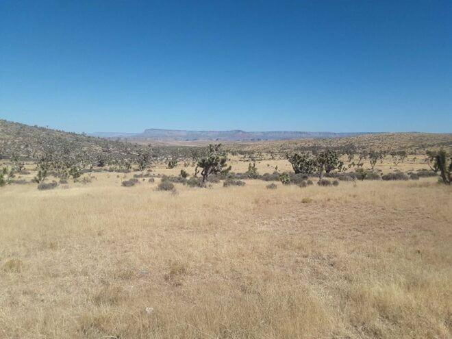 Las Vegas: Grand Canyon Helicopter West Rim Flight & Options - Common Questions