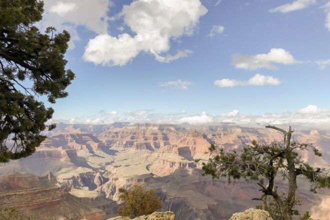 Las Vegas: Grand Canyon National Park South Rim Guided Tour - Customer Reviews