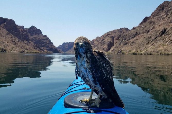 Las Vegas Guided Kayak Tour & Grand Canyon Helicopter Tour - Cancellation Policy