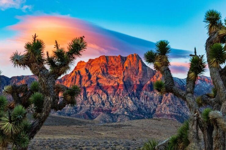 Las Vegas: Guided Red Rock Canyon Driving Adventure - Highlights