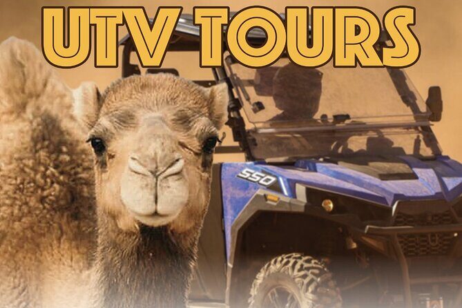 Las Vegas Guided UTV Safari and Zoo Tour - An In-Depth Look at the Tour Experience