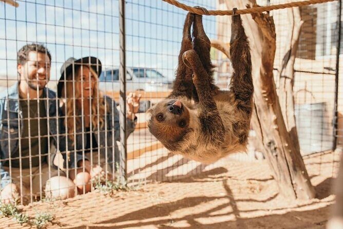 Las Vegas Guided UTV Safari and Zoo Tour - Final Thoughts