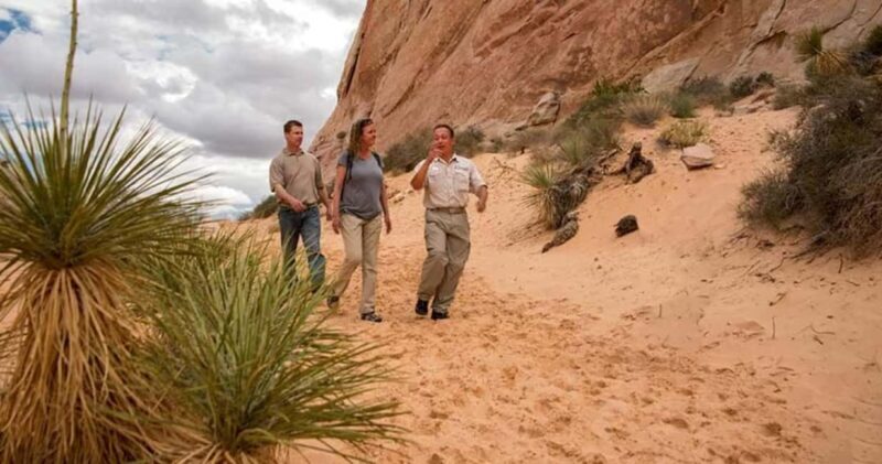 Las Vegas: Hoover Dam and Valley of Fire Combo Tour - What to Expect on This 9-Hour Adventure