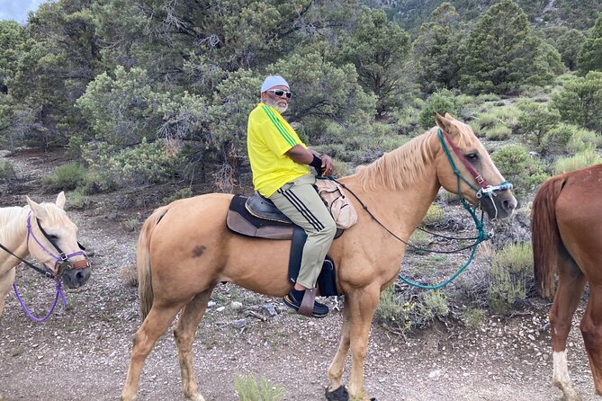 Las Vegas Horseback Riding Adventure - Positive Customer Experiences