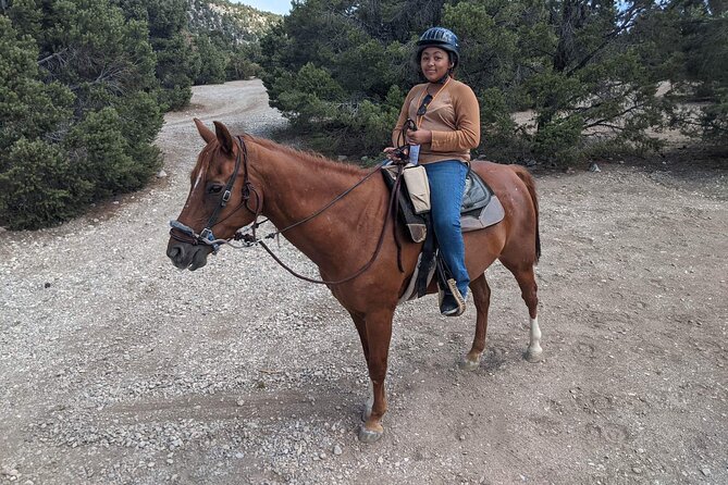 Las Vegas Horseback Riding Adventure - The Sum Up