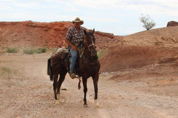 Las Vegas: Horseback Riding Tour With Lunch - Service Fee