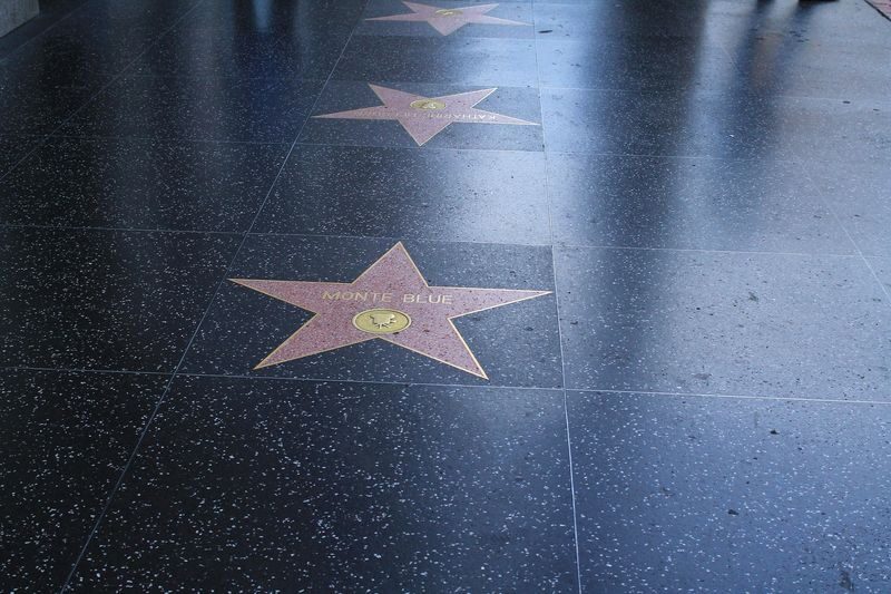 Las Vegas Los Angeles & Hollywood Walk of Fame Full-Day Small Group Tour - The guide can shape the day