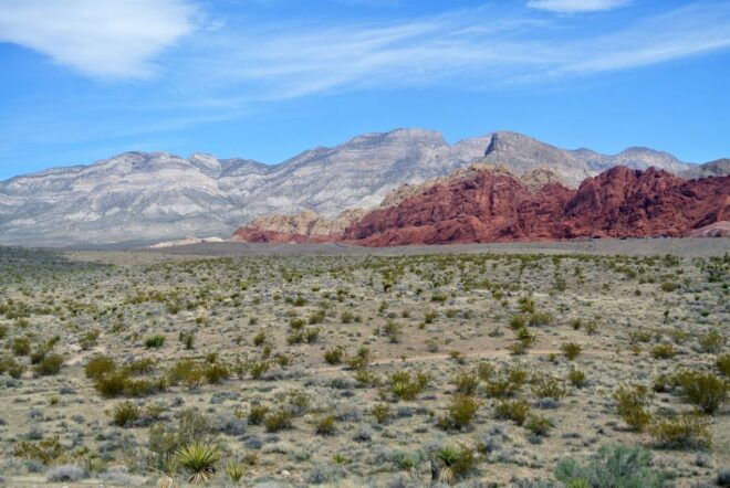 Las Vegas: Mojave, Red Rock Sign and 7 Magic Mountains Tour - Enjoy Breathtaking Views of Wilson Cliffs
