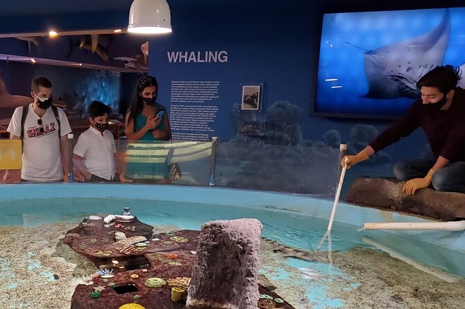 Las Vegas Natural History Museum Admission Ticket - Tips for Travelers