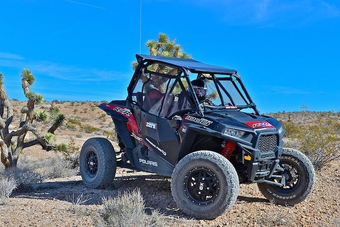 Las Vegas Off Road Mojave Desert Tour - Pricing and Booking Details