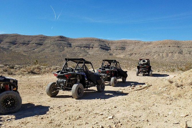 Las Vegas Off Road Mojave Desert Tour - Common Questions