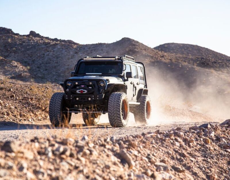 Las Vegas- Offroad Experience Wildlife, Ghost Towns and more - Practical Details & Tips