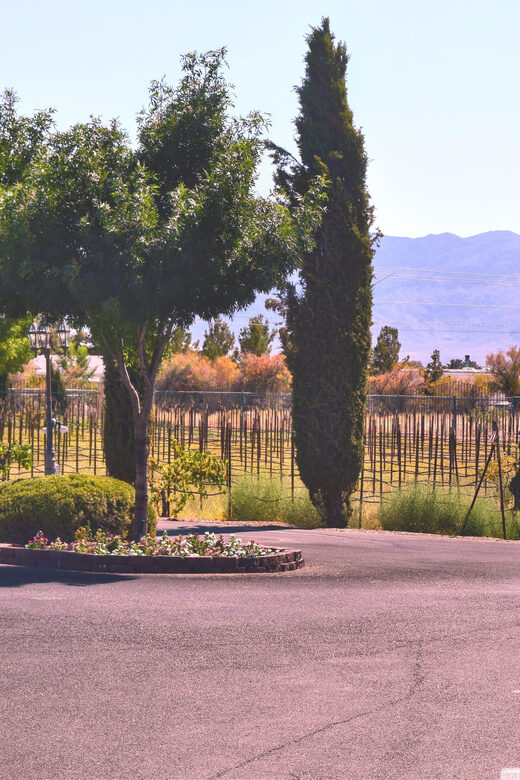Las Vegas / Pahrump Wine Tasting Tour and snacks - Introduction