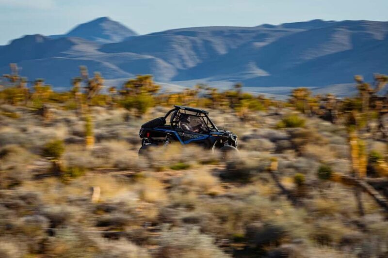 Las Vegas Pioneer Saloon | SXS Off Road Tour With Lunch! - Who Will Love This Tour?