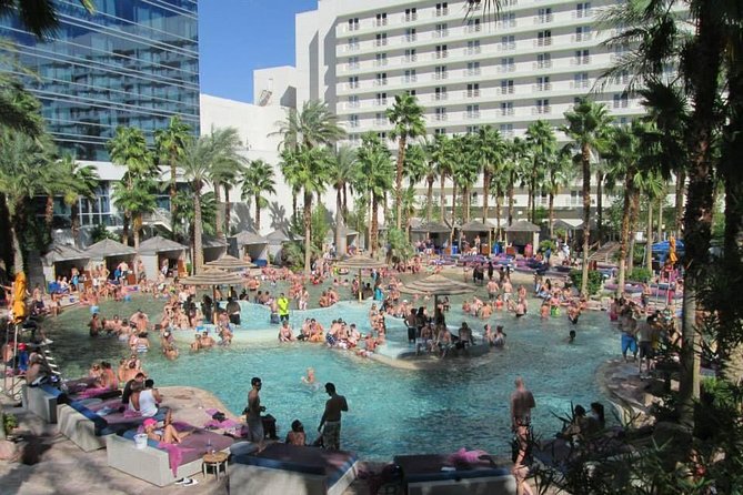 Las Vegas Pool Party Tour - Customer Support and Recommendations