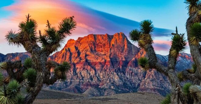 Las Vegas: Private Red Rock Canyon Guided Driving Adventure - Inclusions and Exclusions