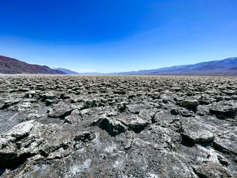 Las Vegas: PRIVATE Small Group Family Tour at Death Valley - What Makes This Tour Stand Out?