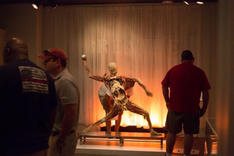 Las Vegas: REAL BODIES at Horseshoe Las Vegas Entry Ticket - Good To Know