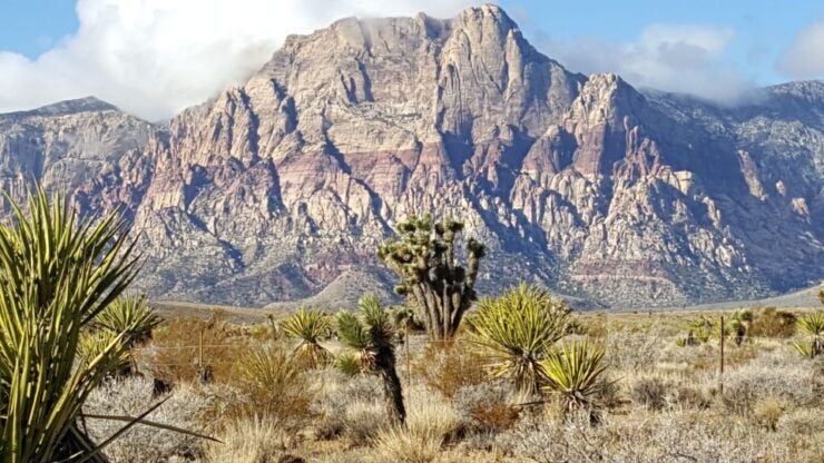 Las Vegas: Red Rock Canyon Ultimate Guided Tour - Experience Highlights