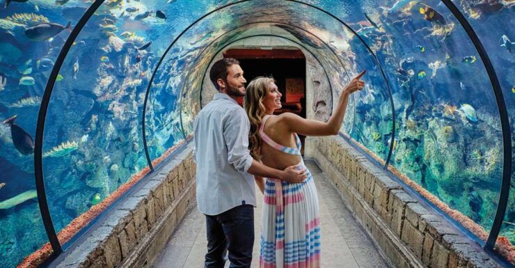 Las Vegas: Shark Reef Aquarium & VR Experience Entry Ticket - Ticket Details