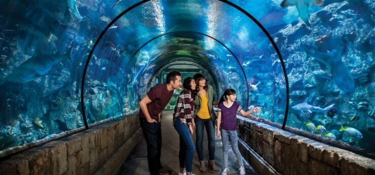 Las Vegas: Shark Reef Aquarium & VR Experience Entry Ticket - Aquarium Experience