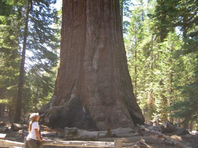 Las Vegas: Southwest USA National Parks 11-Day Trip to San Francisco - Additional Activities