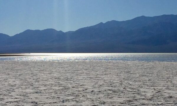 Las Vegas: Southwest USA National Parks 11-Day Trip to San Francisco - Common Questions