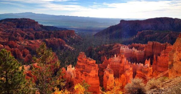 Las Vegas: Southwest USA National Parks 11-Day Trip to San Francisco - The Sum Up