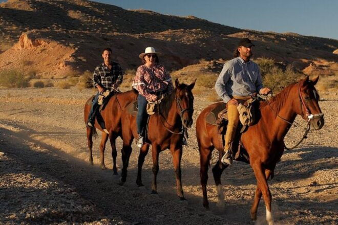 Las Vegas: Sunset Horseback Riding Tour With BBQ Dinner - Customer Reviews