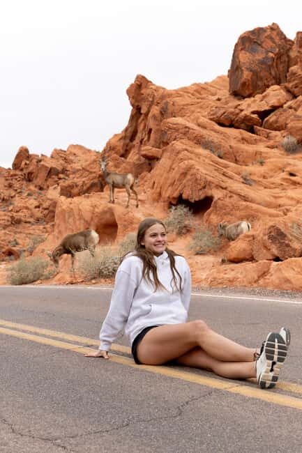 Las Vegas: Valley of Fire and Red Rock Canyon Day Trip - Good To Know