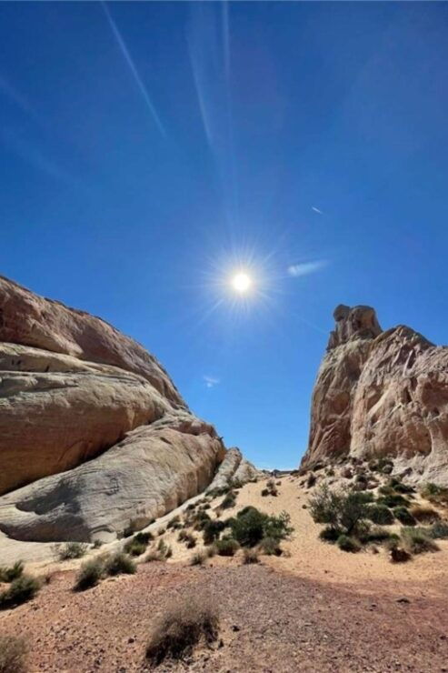 Las Vegas: Valley of Fire Guided Tour - Tour Details