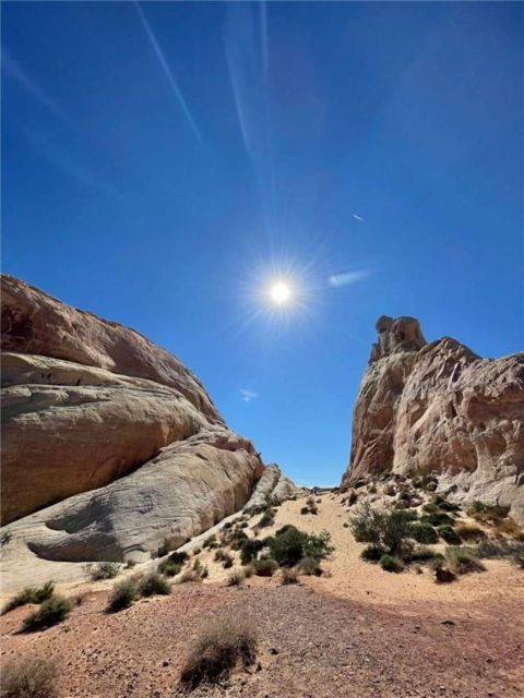 Las Vegas: Valley of Fire Guided Tour - Activity Highlights