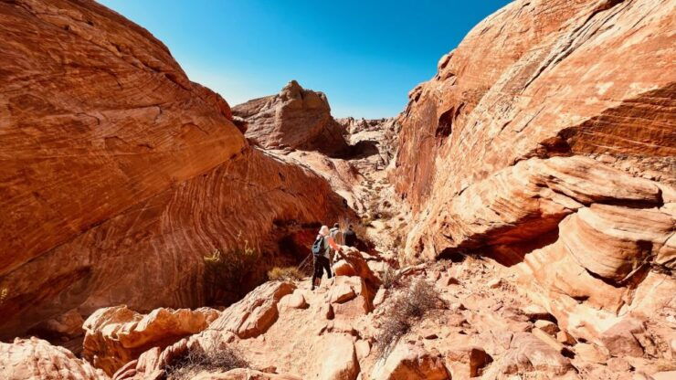 Las Vegas: Valley of Fire Scenic Tour & Lost City Museum - Booking and Logistics