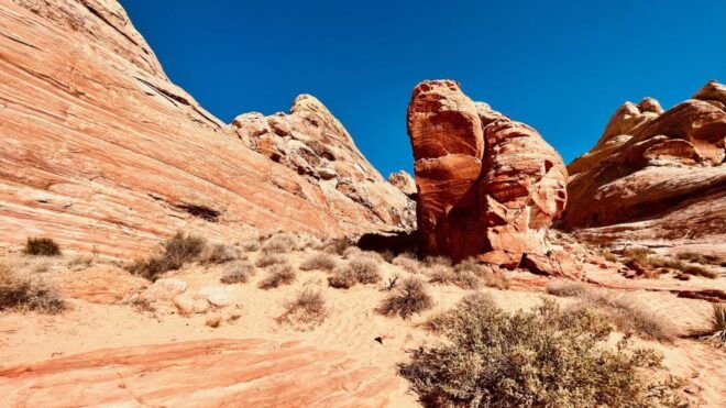 Las Vegas: Valley of Fire Scenic Tour & Lost City Museum - Important Information