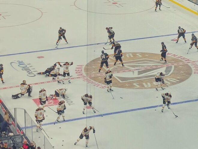 Las Vegas: Vegas Golden Knights Ice Hockey Game Ticket - Sensory Inclusion Facilities