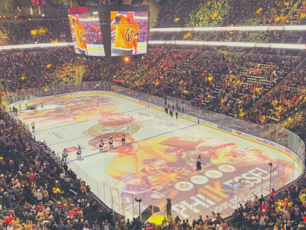 Las Vegas: Vegas Golden Knights Ice Hockey Game Ticket - Pricing and Availability