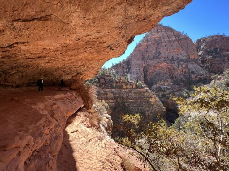 Las Vegas: VIP Guided Photography & Hiking Tour of Zion National Park - Activity Details and Benefits