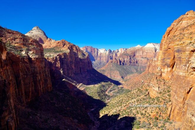 Las Vegas: VIP Guided Photography & Hiking Tour of Zion National Park - Pickup and Logistics