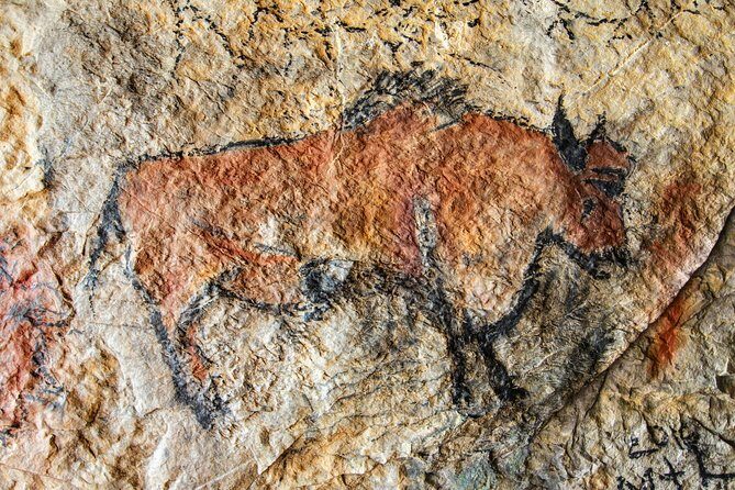Lascaux IV Visit - Half Day Tour from Sarlat - What You’ll Experience Step-by-Step