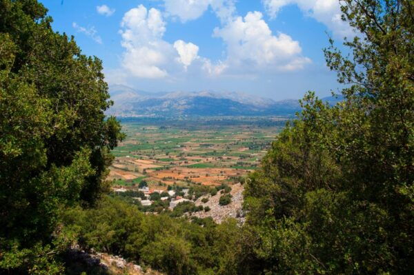 Lasithi Plateau & Knossos Palace - Customer Reviews
