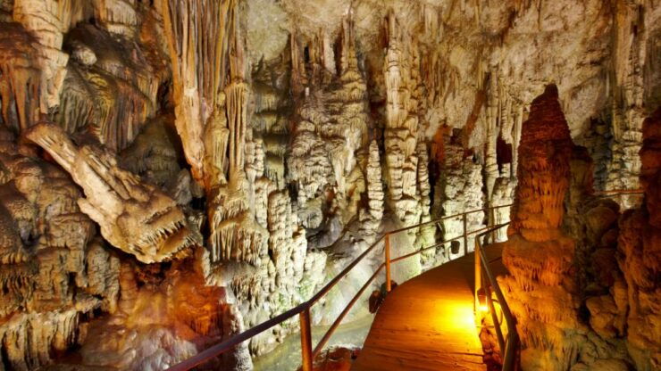 Lasithi Plateau, the Legendary Zeus Cave & Olive Oil Farm - Good To Know