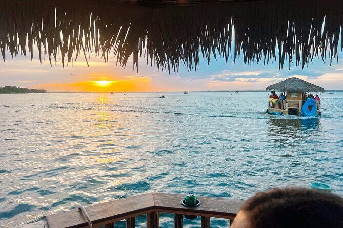 Last Chance TAILFINS TIKIS 2 Hour Crab Island Tiki Tour - Final Thoughts